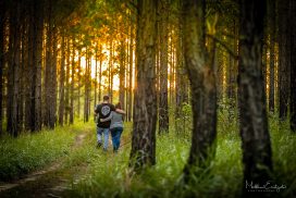 Pine Forest Family Photographer