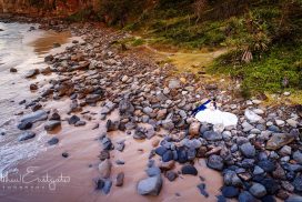 Sunshine Coast Wedding Photographer