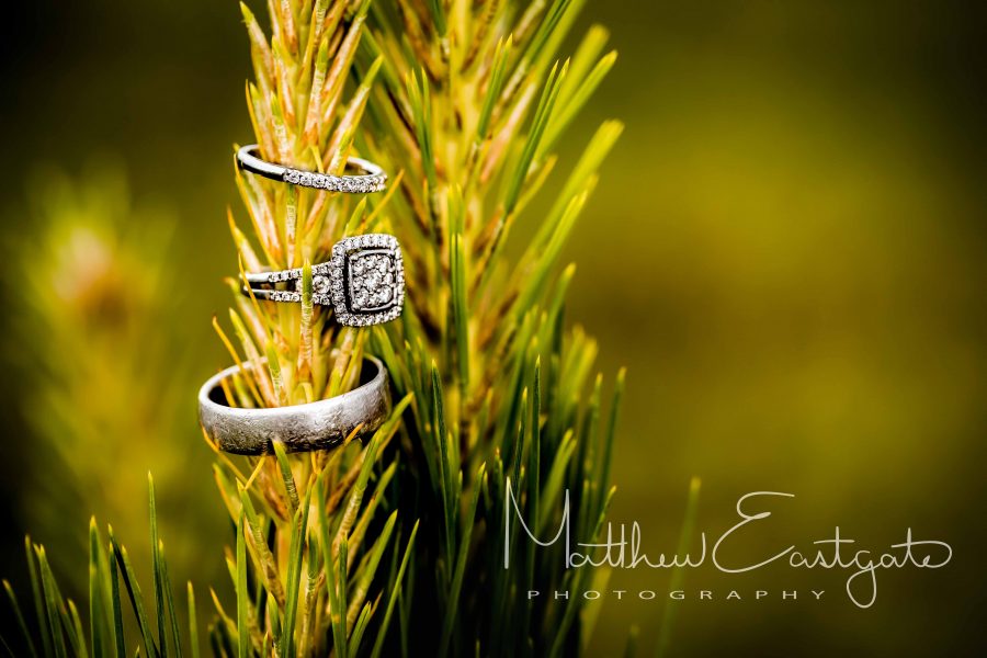 Matthew Eastgate Photography